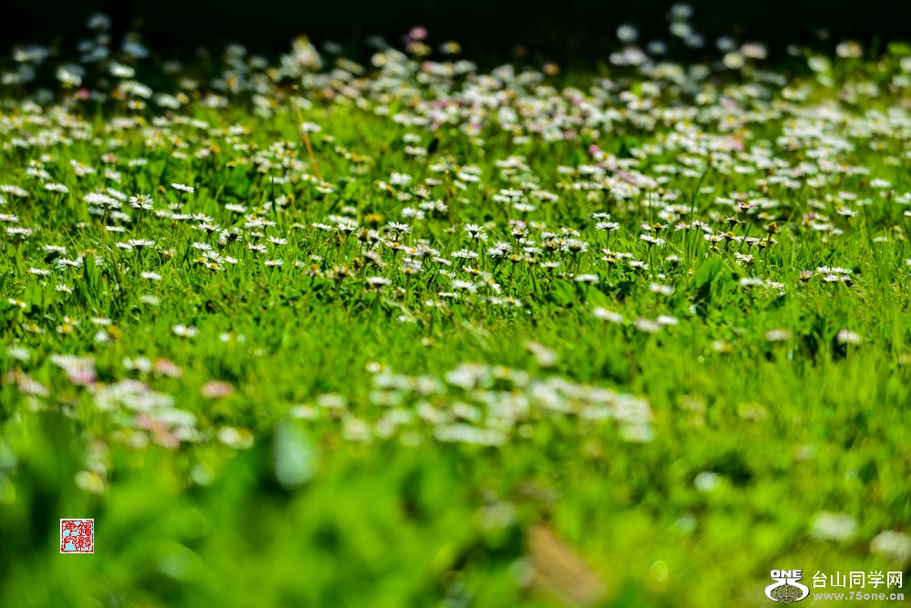 DSC_7087.jpg