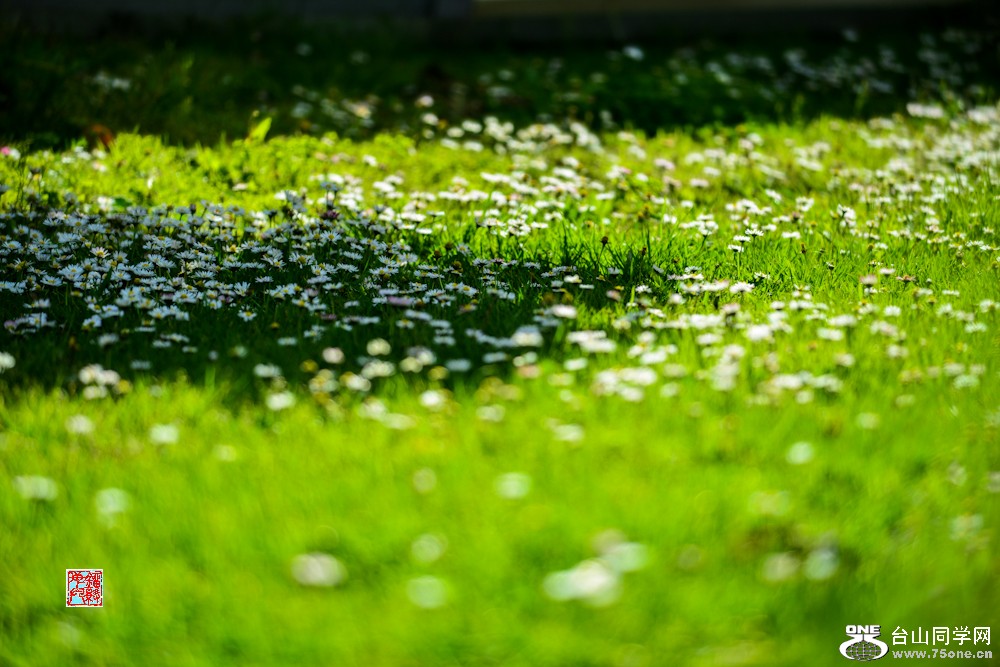 DSC_7090.jpg