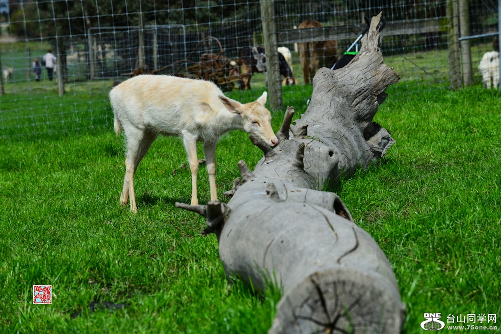 DSC_6841.jpg