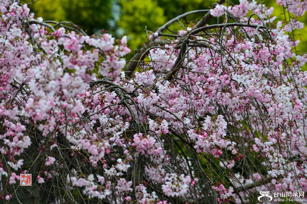 DSC_5819.jpg