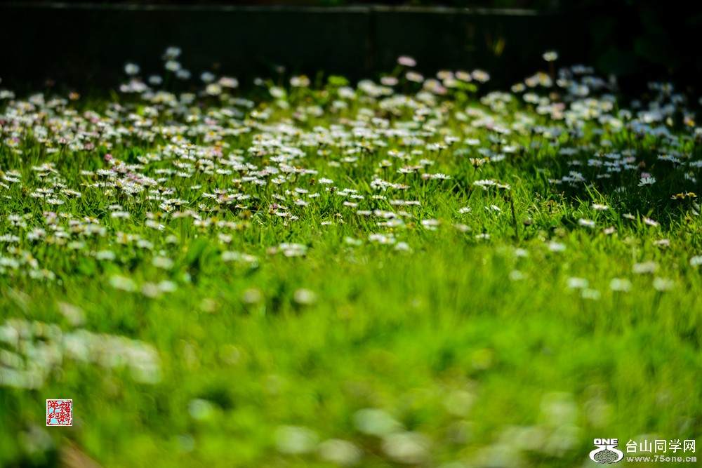 DSC_7089.jpg