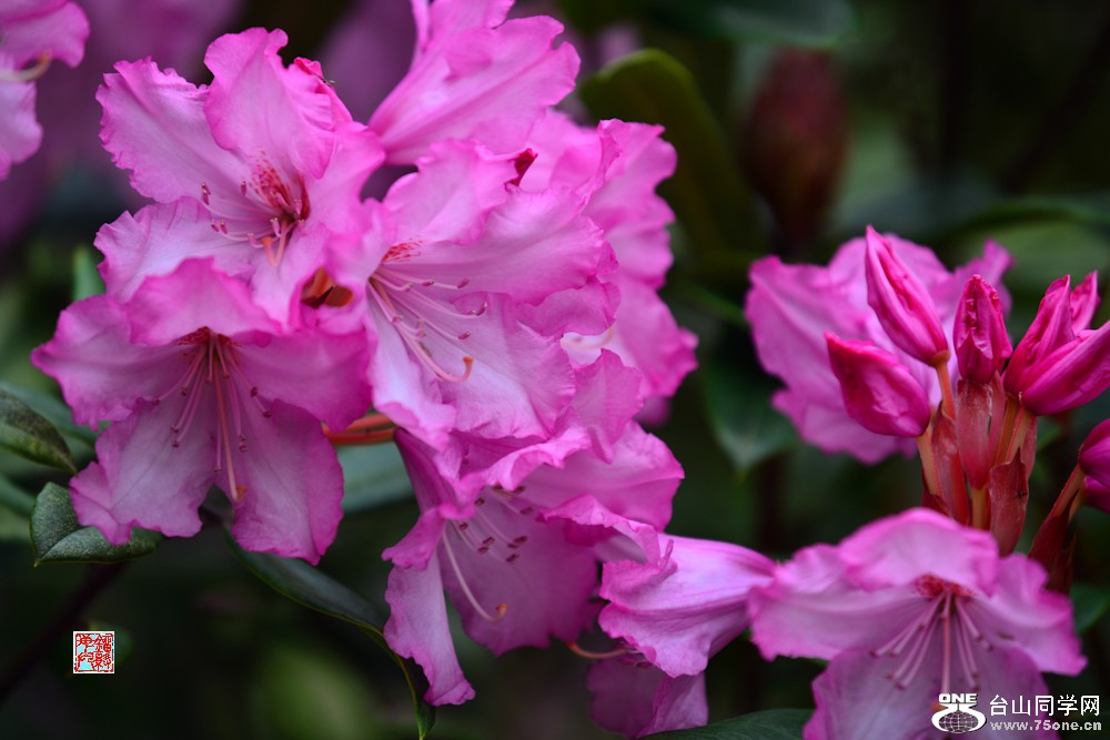 DSC_5740.jpg