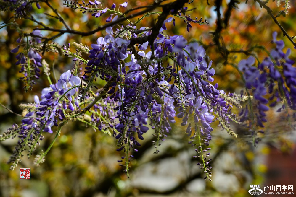 DSC_7042.jpg