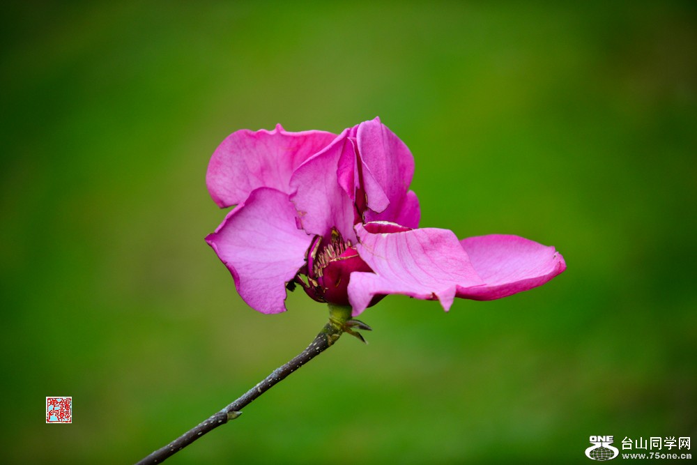 DSC_5668.jpg