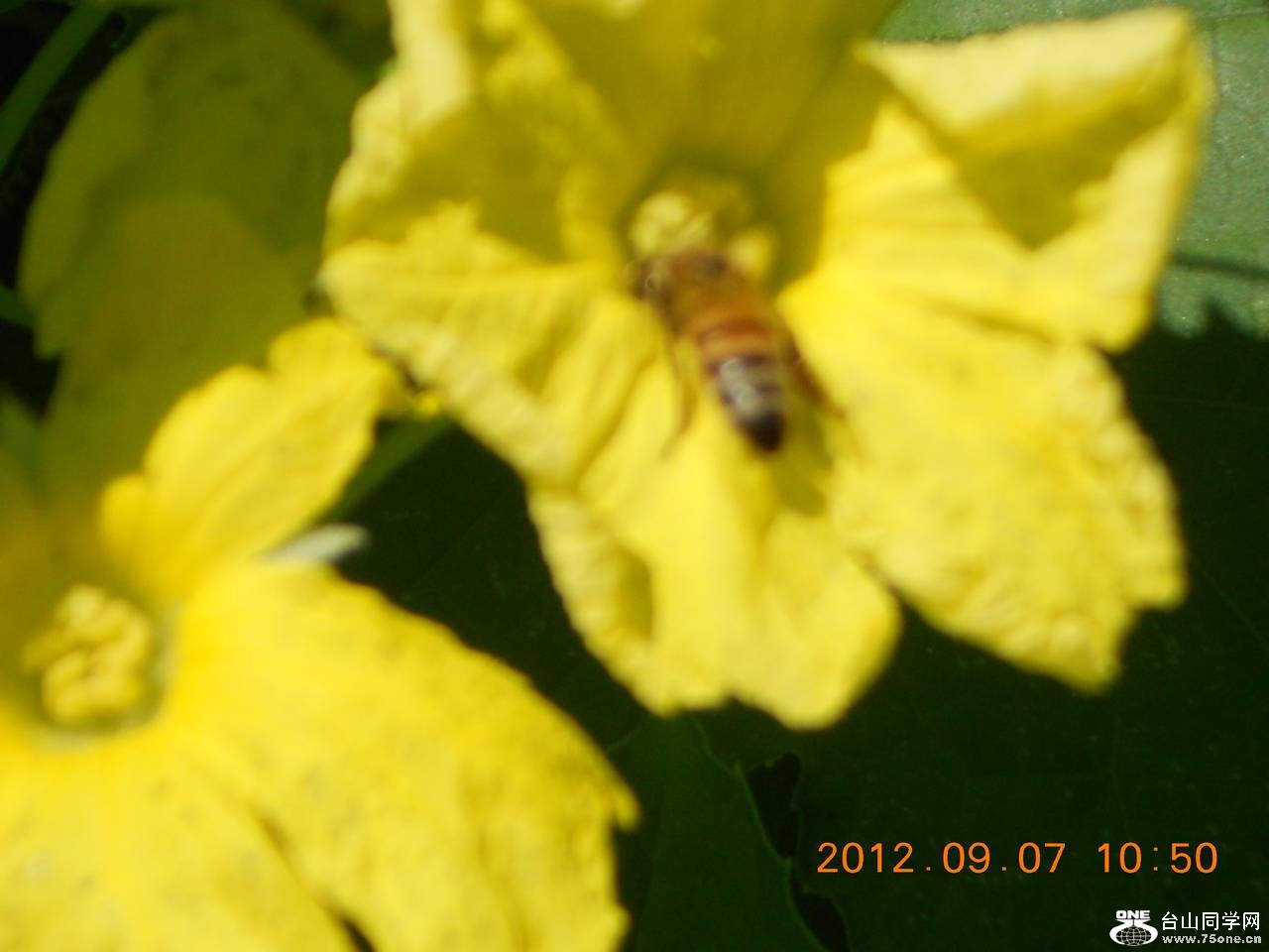 ��֮�� 008.JPG