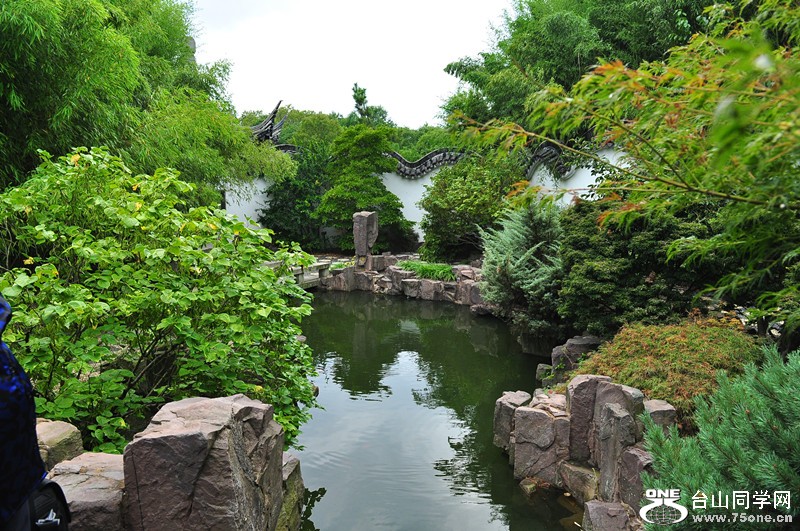 DSC_0878_.jpg