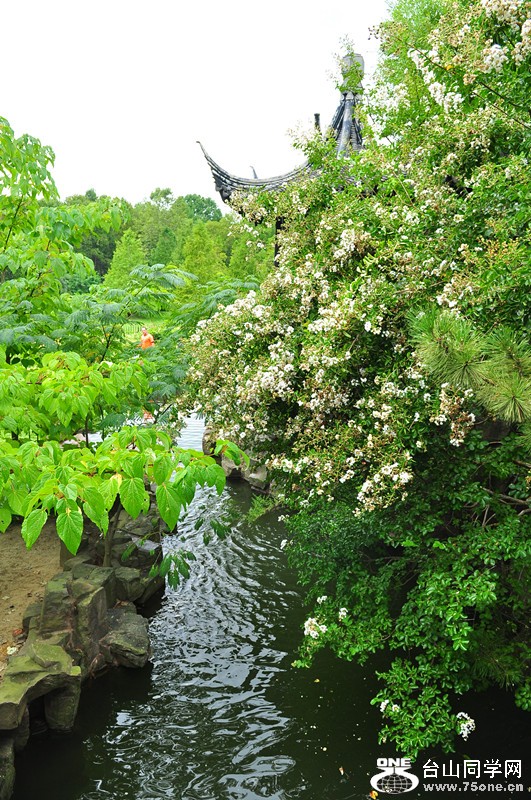 DSC_0840_.jpg