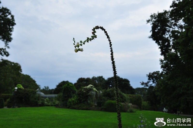 DSC_0921_.jpg