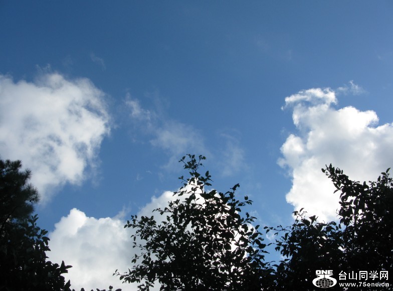 148.jpg