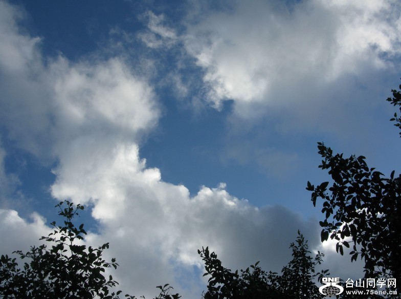 137.jpg
