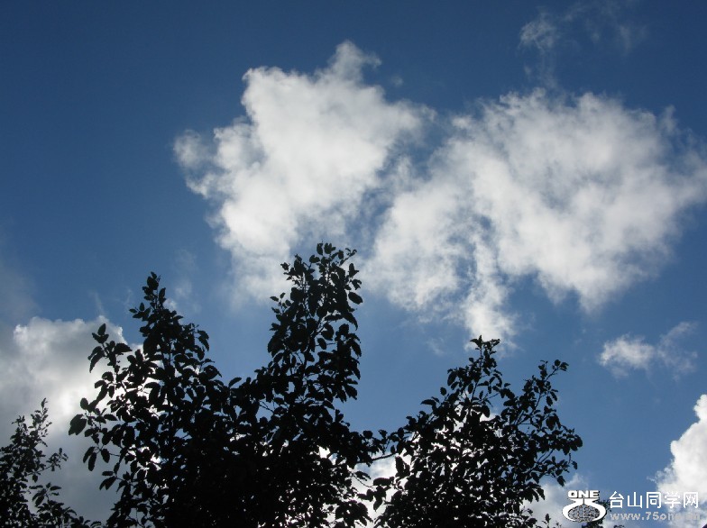 154.jpg