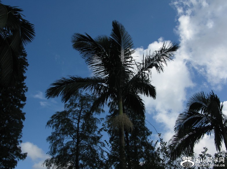 193.jpg