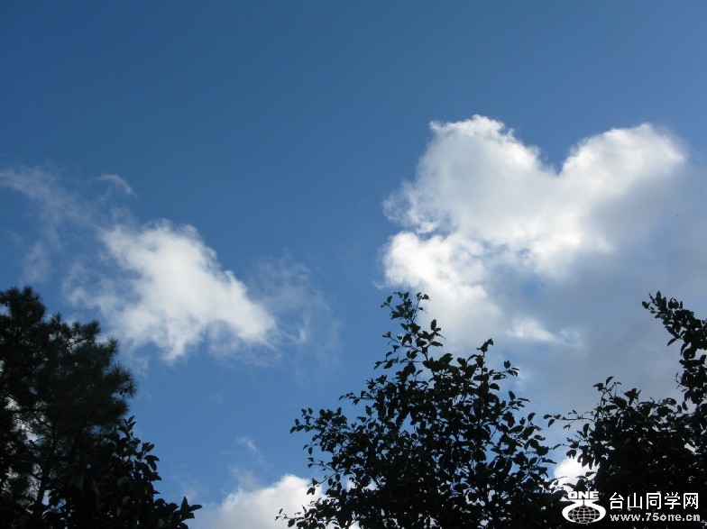 153.jpg