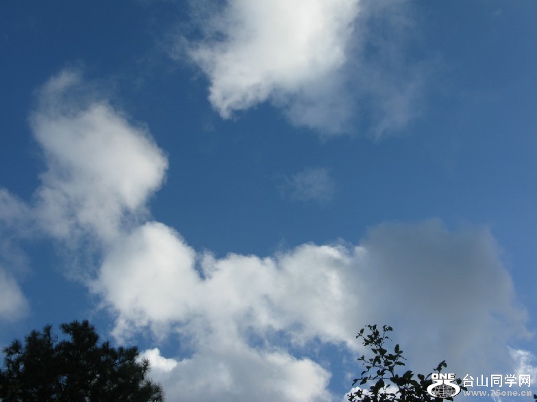 139.jpg