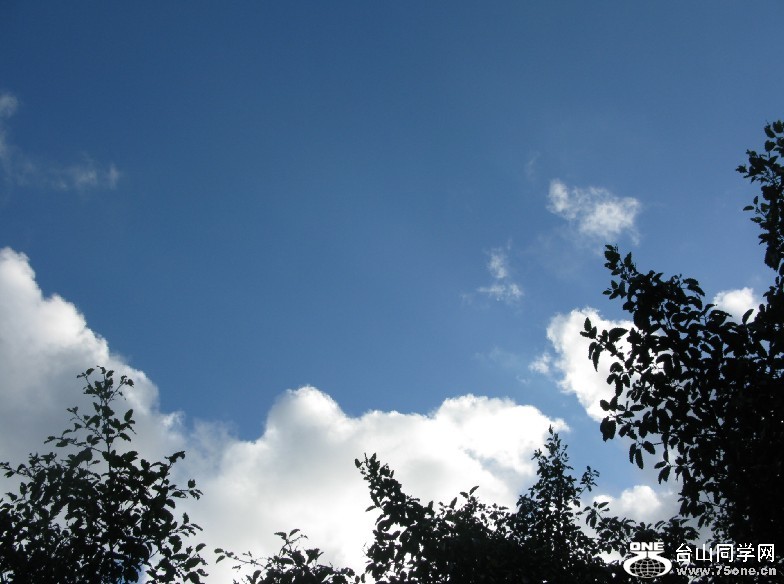 161.jpg