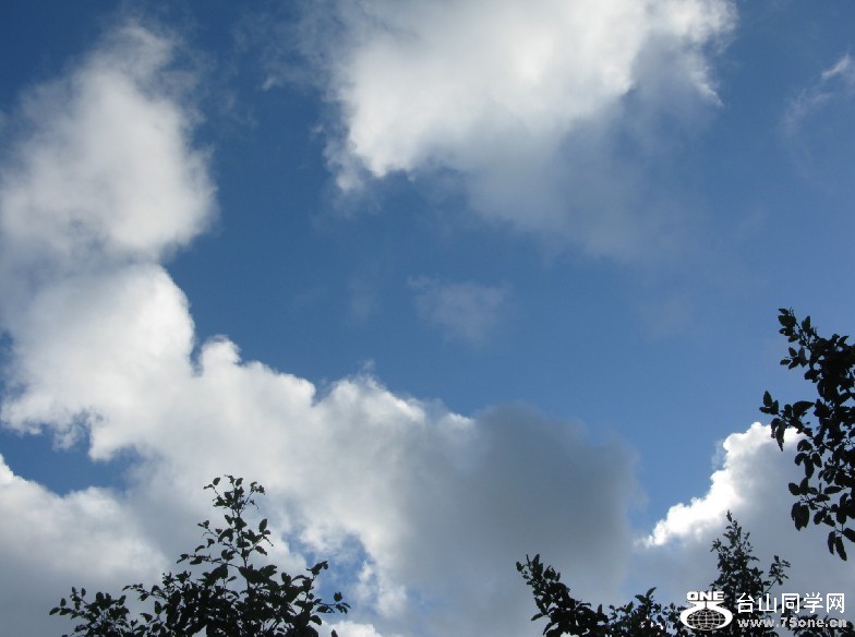 138.jpg