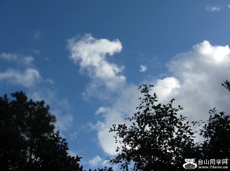 156.jpg
