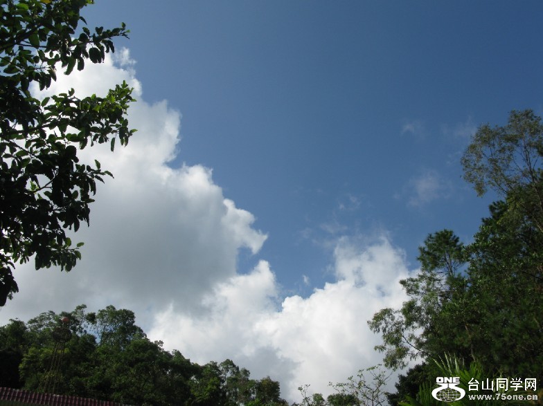 95.jpg