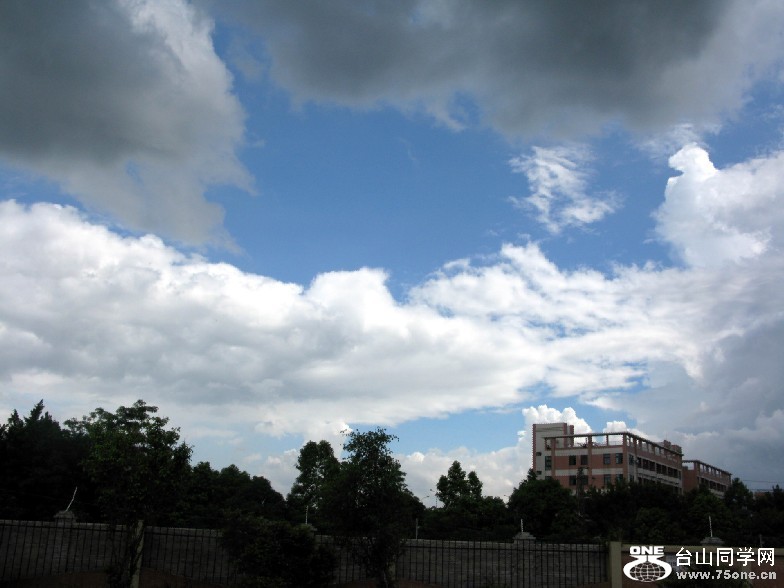 97.jpg