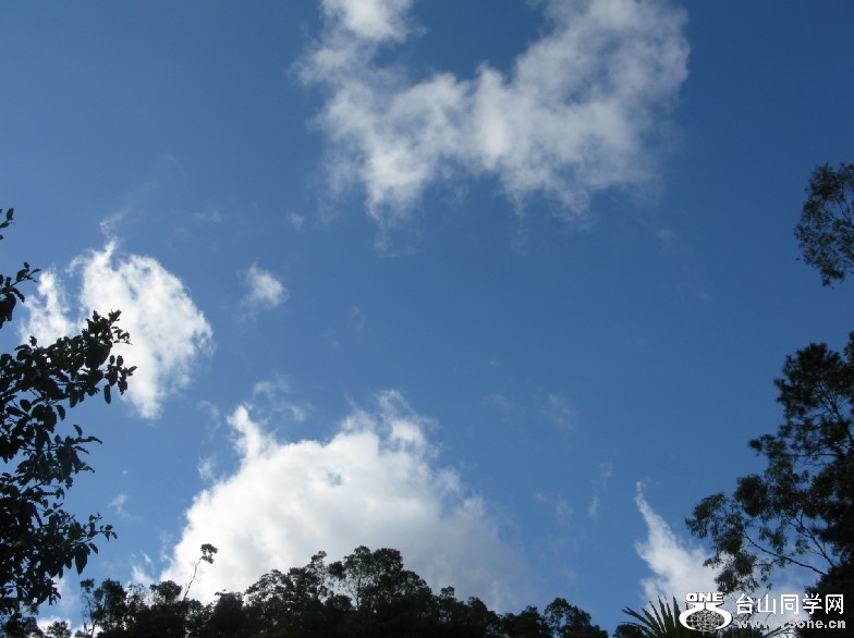 191.jpg