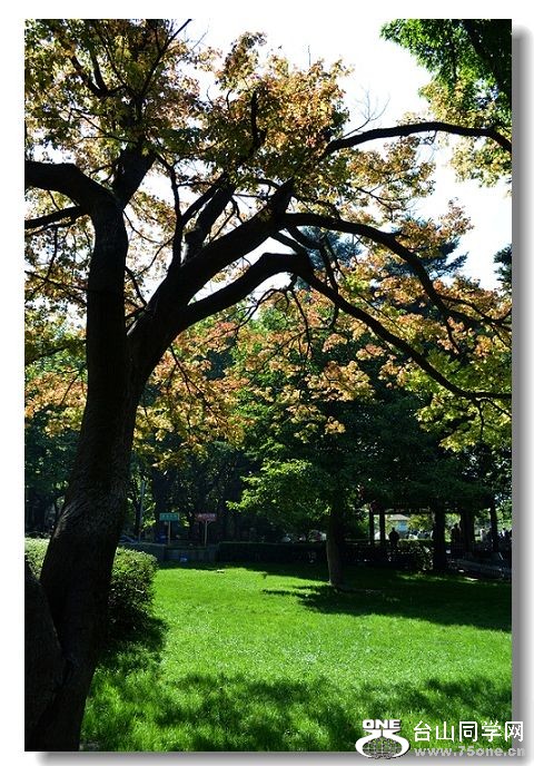 8���� 894.jpg