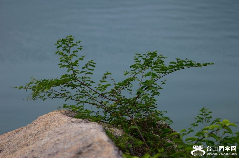 DSC_7296.JPG