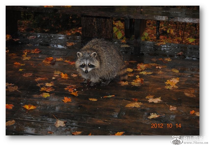 ���� 030.jpg