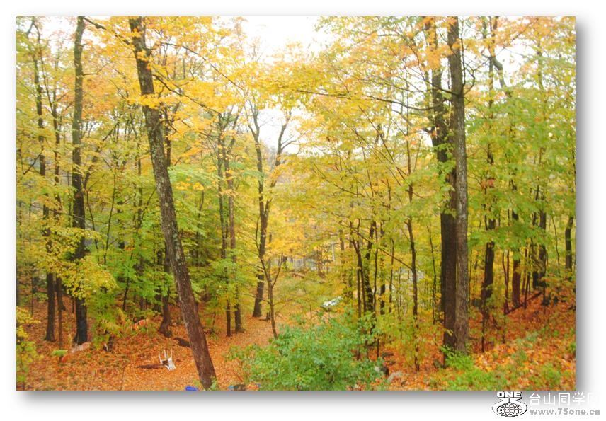 ���� 015.jpg