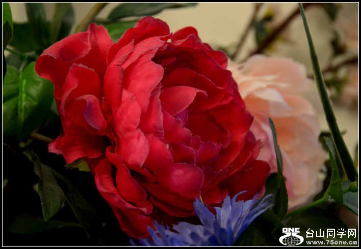 10.17.2012 Fall 272.jpg