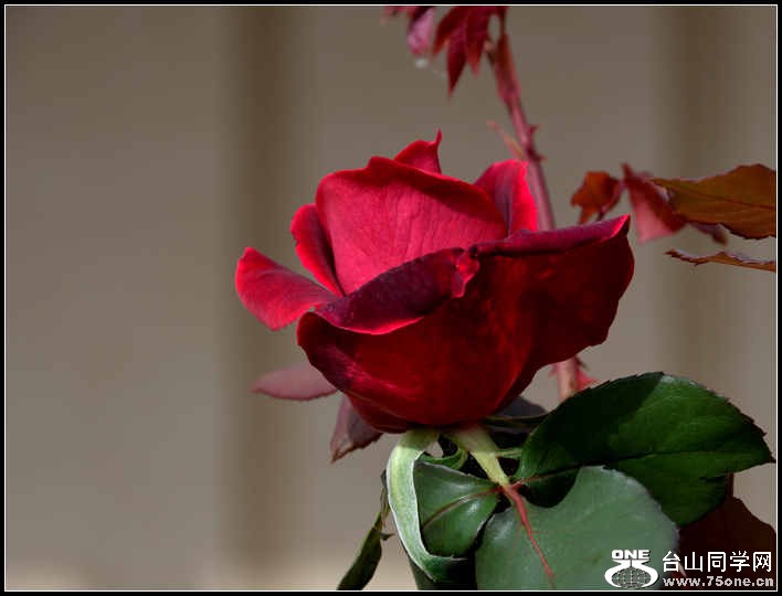 10.17.2012 Fall 284.jpg