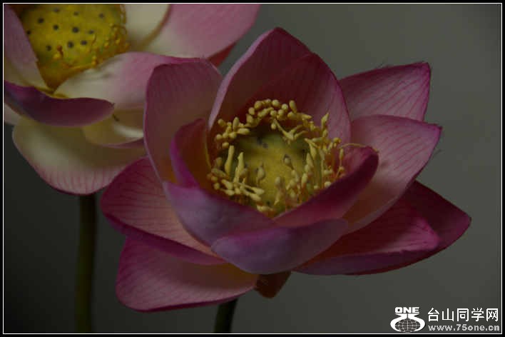 10.17.2012 Fall 266.jpg