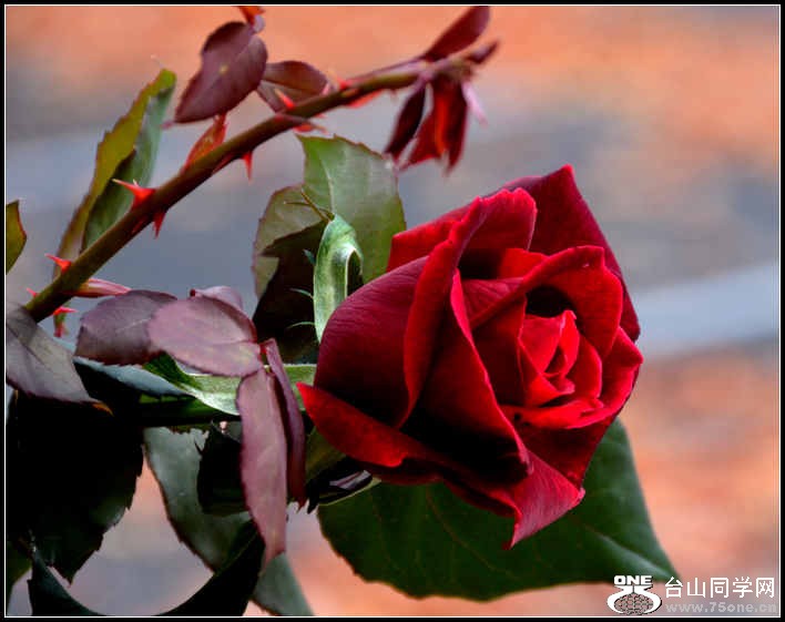 10.17.2012 Fall 290.jpg