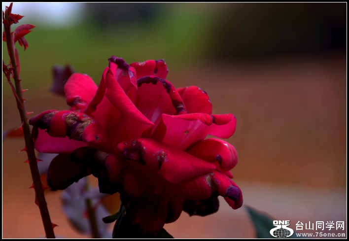 10.17.2012 Fall 231.jpg