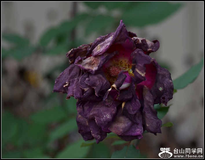 10.17.2012 Fall 244.jpg