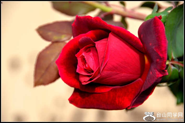 10.17.2012 Fall 298.jpg