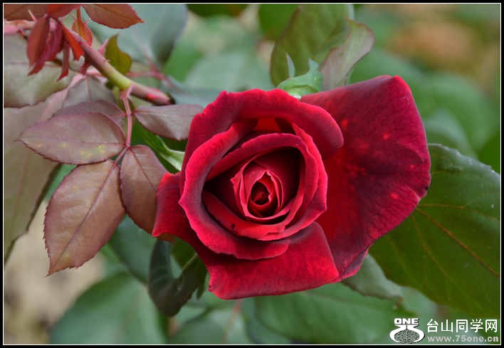 10.17.2012 Fall 304.jpg