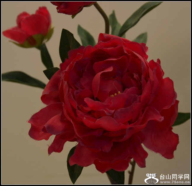 10.17.2012 Fall 276.jpg