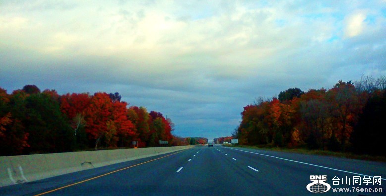 IMG516_conew1.jpg