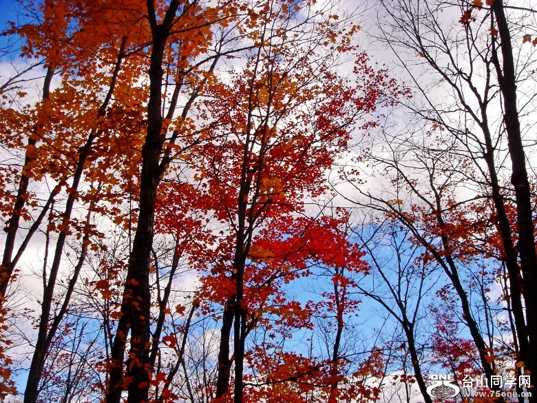 DSC02087_conew1.jpg
