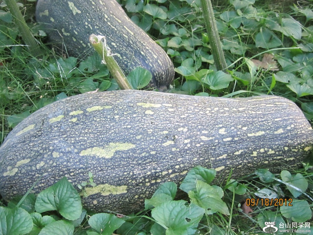 551.jpg