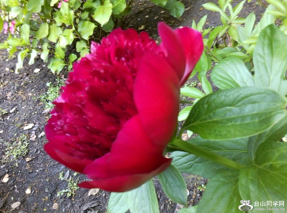 0503121220.jpg1.jpg