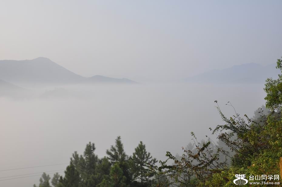 С _DSC0682.JPG