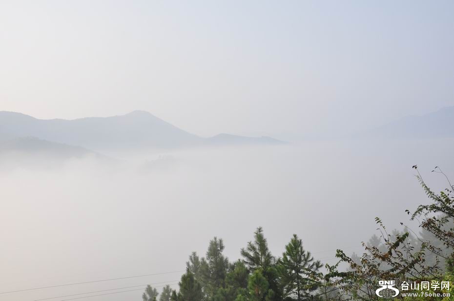 С _DSC0684.JPG