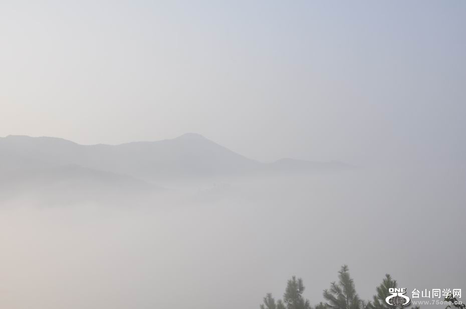 С _DSC0690.JPG