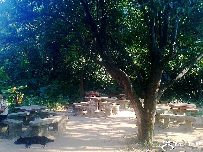 Ƭ0563_conew1.jpg