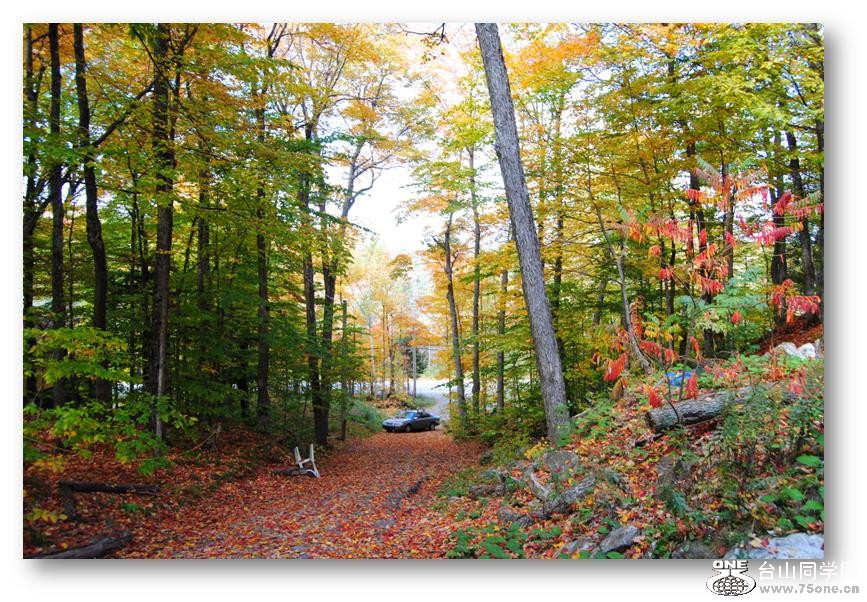 �ж��ڳ�� 143.jpg