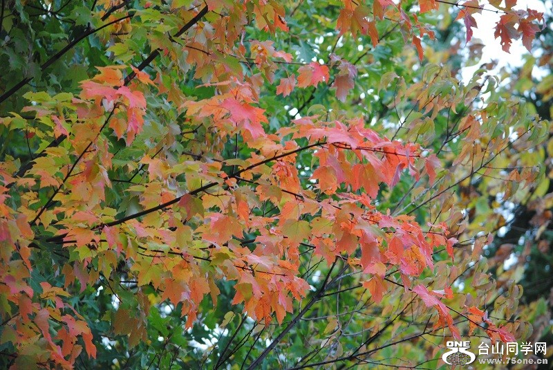 DSC_8272.JPG