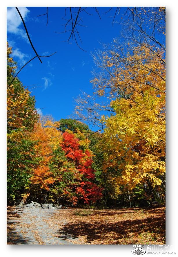 �ж��ڳ�� 230.jpg