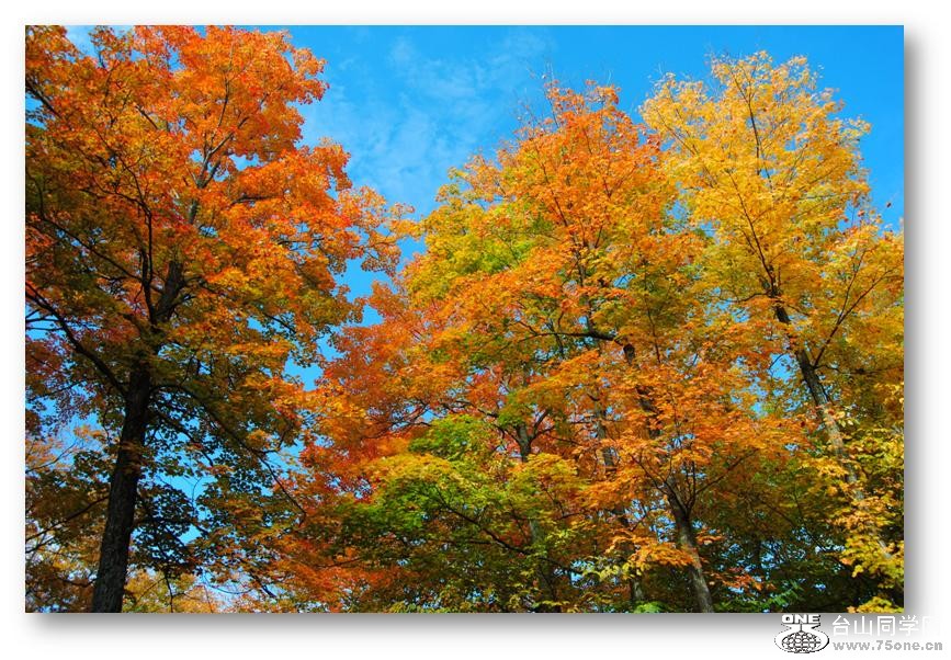 �ж��ڳ�� 144.jpg