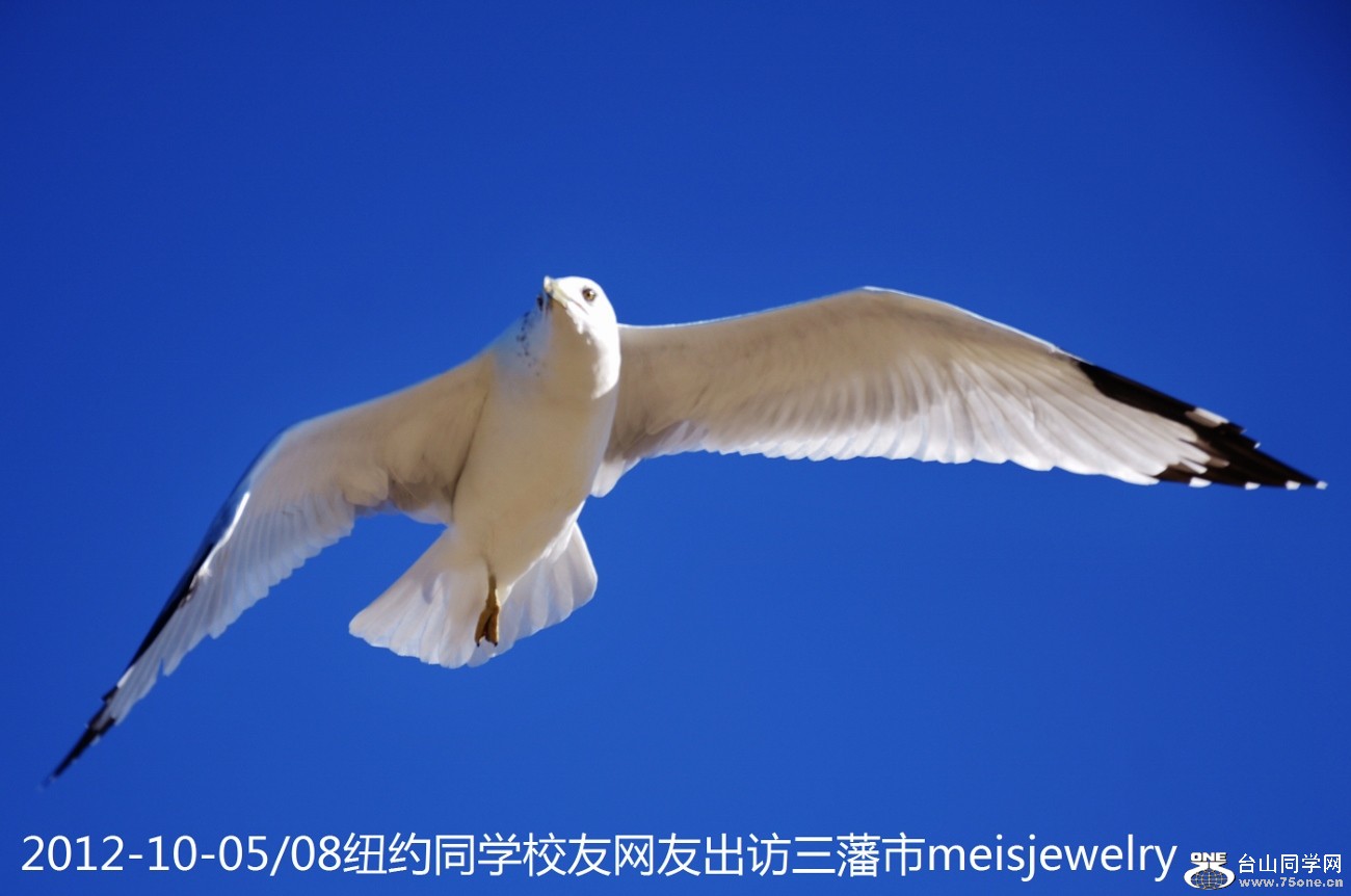 DSC_1985 (1300x862).jpg